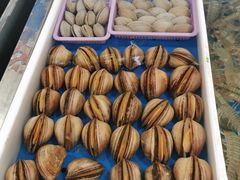 -南沙十九涌渔人码头-南门