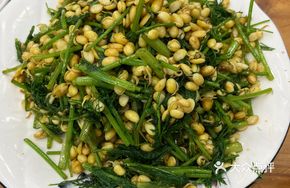 Fennel Stir-fried with Soybean Sprouts