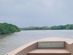 -东寨港红树林旅游区
