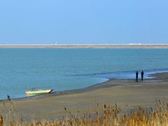 景点-江滩湿地公园