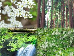 -龙苍沟森林公园