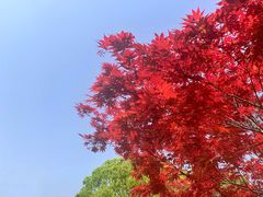 -上海野生动物园