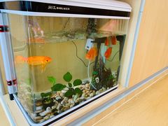 -深业幸福家托育(深业U中心园)