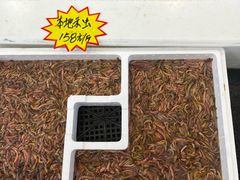 -益利大酒楼(井岸店)