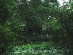 -中国湿地博物馆