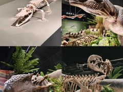 -遇见博物馆(遇见海洋沉浸式奇幻光影展)
