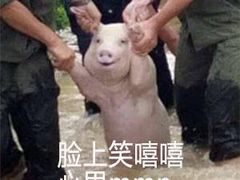 -金吉列留学·语培·小语种·国际课程(西安分公司)