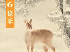 -海底捞火锅(高科东路店)