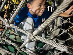 -苏州河梦清园环保主题公园