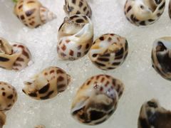 -拾贝海鲜馆（海鲜粤菜）(花果园店)