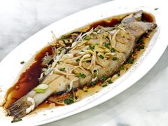 -郭姐·威海渔村(黄兴路店)