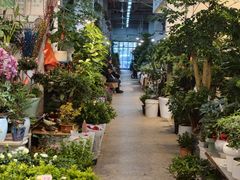 -双季花艺园艺市场(浦东店)