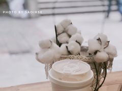 棉花咖啡-COTTON CAFE(德信·中外公寓店)