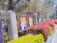 -青岛德国总督楼旧址博物馆