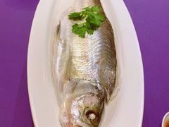 清蒸白水鱼-张福记(陇海中路店)