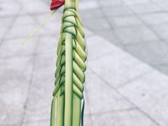 -南山植物园