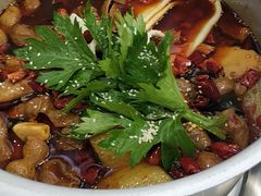 -晓彭肥肠鸡·泡椒鸡火锅(水木天地店)
