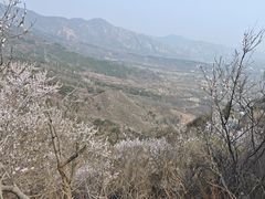 -北京鹫峰国家森林公园