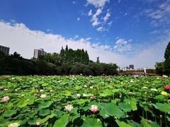 -黄兴公园