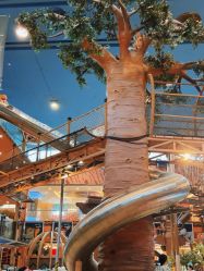 -卡通尼·Safari非洲探索乐园·生日会(金桥国际商业广场店)