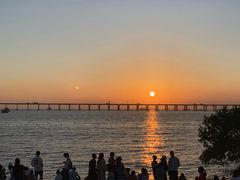 -宝安西湾红树林湿地公园