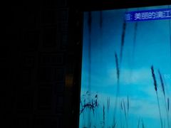 -温莎KTV(珠江路店)