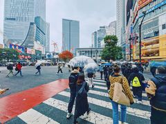 -涩谷全向十字路口