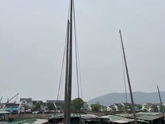 -苏州太湖国家湿地公园