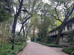 -杭州植物园