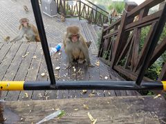 -重庆云阳龙缸景区