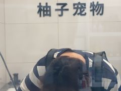 -柚子宠物(伊珊娜调理店)