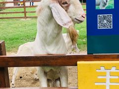 -上膳源有机农场