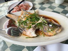 -哈味食店(外伶仃岛店)