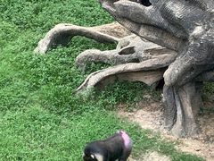 -南昌动物园