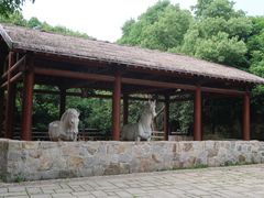 -白马涧龙池景区