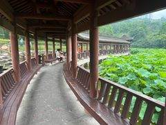 -龙头寺公园