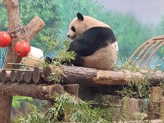 -杭州动物园