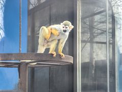 -秦皇岛野生动物园