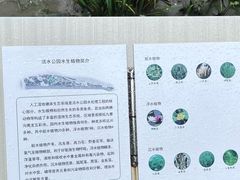 -成都市活水公园