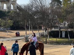 -武汉紫薇都市田园