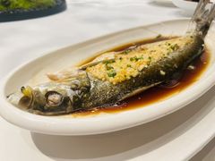 -羲和雅苑•北京烤鸭(陆家嘴中心店)