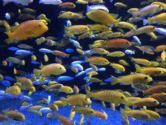 -成都浩海立方海洋公园