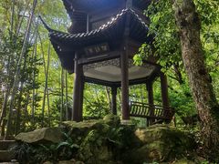 -杭州黄龙洞