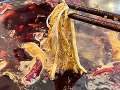 -黄潇洒老火锅(九眼桥宏济巷店)