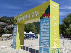 -北京西山国家森林公园