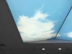 -上海市第十人民医院(总院)