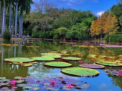 -中国科学院西双版纳热带植物园
