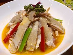 藤椒手撕鸡-必点海鲜·鲅鱼水饺(鞍山西道店)