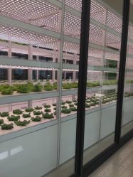 -安利上海体验馆