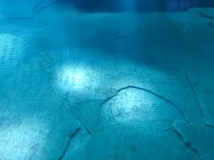 -白鹤梁水下博物馆